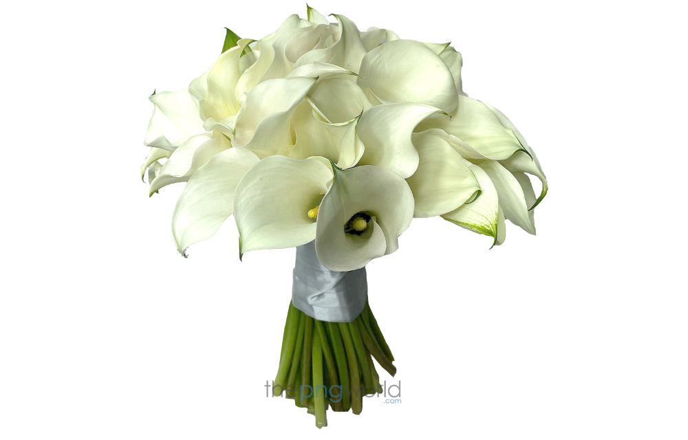 White Flower Bouquet Transparent PNG white flower, lily, bouquet,flower, transparent bouquet, bouquet png, bouquet transparent for banner. HD bouquet png, white color, bokeh